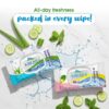 Kressa Wipes Combo, Aloe Vera Cucumber & Vitamin E Mint, 30 Wipes Per Pack - image 2